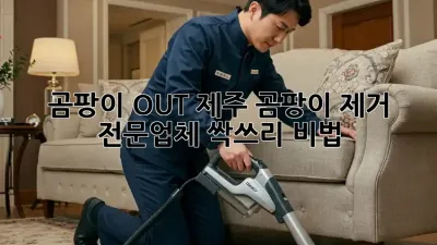 곰팡이 OUT! 제주 곰팡이 제거 전문업체 싹쓰리 비법 🏡✨