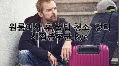 원룸이사 후 꿀팁🍯 청소🧹 & 정리✨ 새집증후군 Bye!